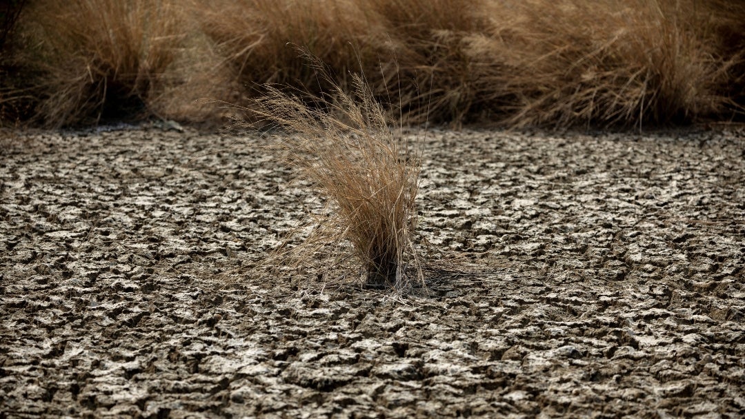 Fenómeno de El Niño en Asia