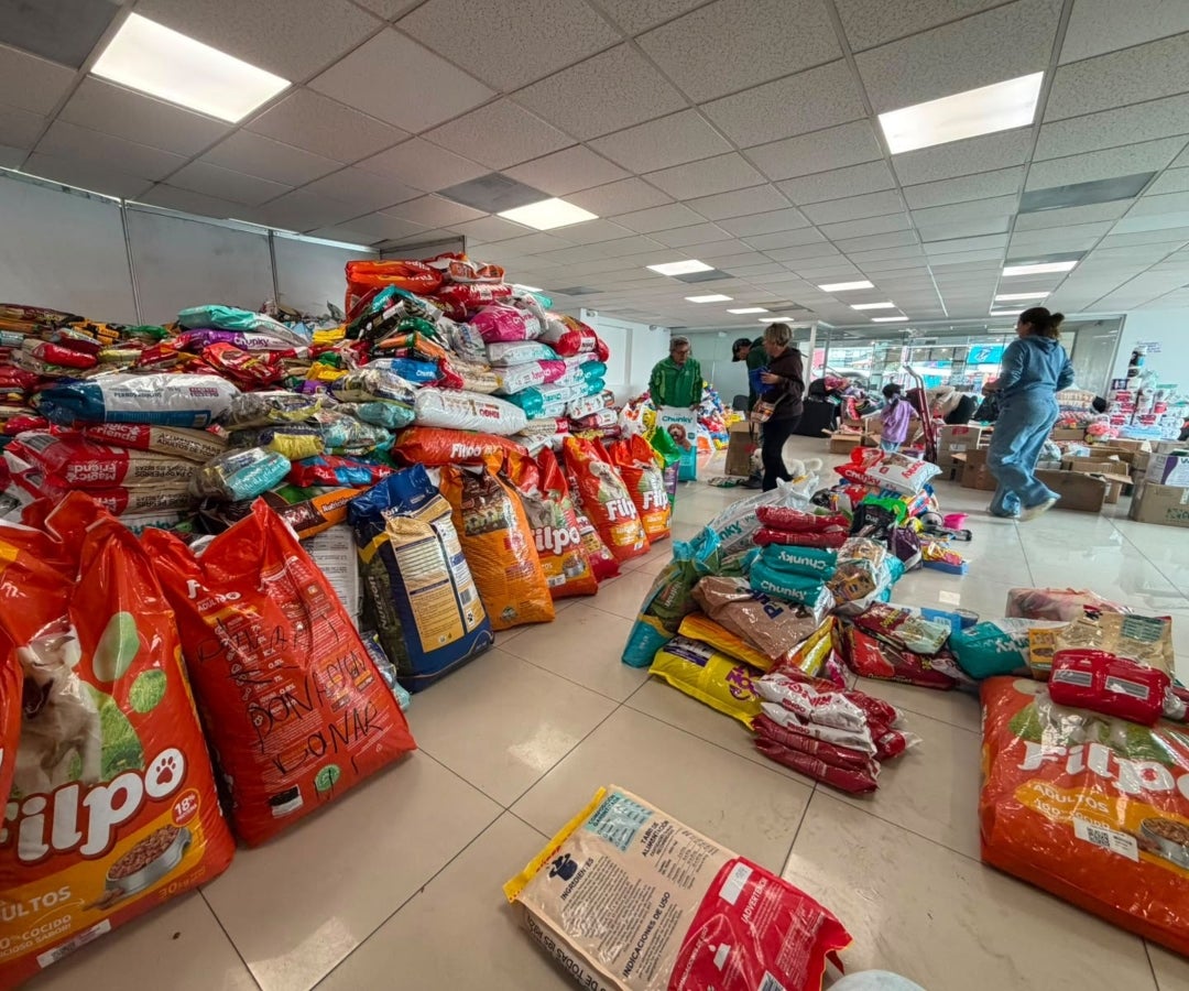 Donaciones para mascotas afectadas por el terremoto
