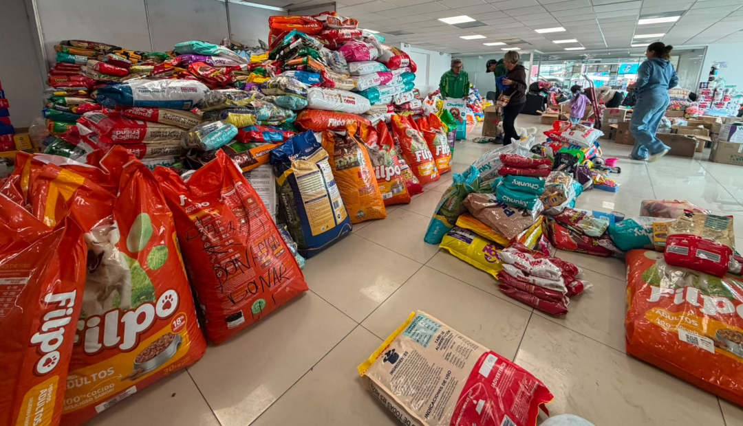 Donaciones para mascotas afectadas por el terremoto