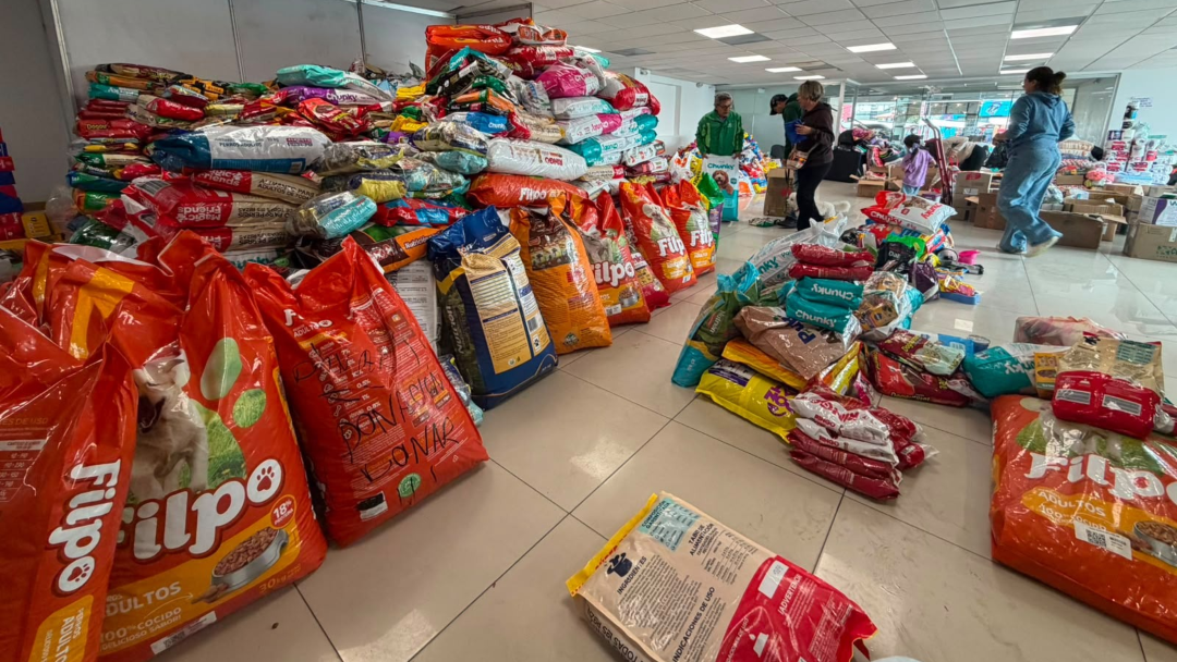 Donaciones para mascotas afectadas por el terremoto