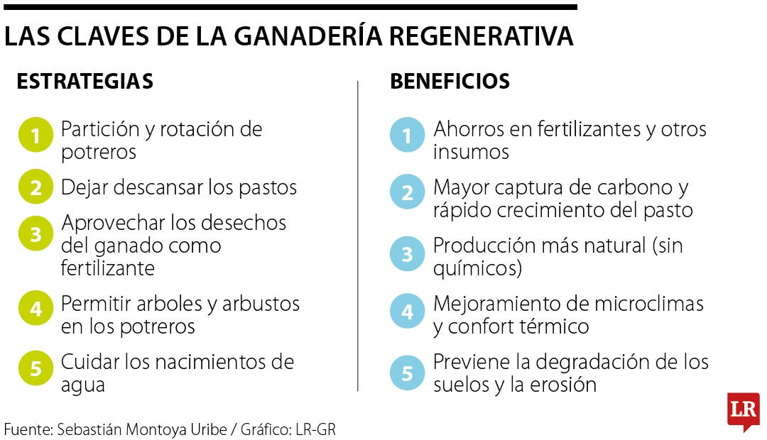 Las claves de la ganadería regenerativa