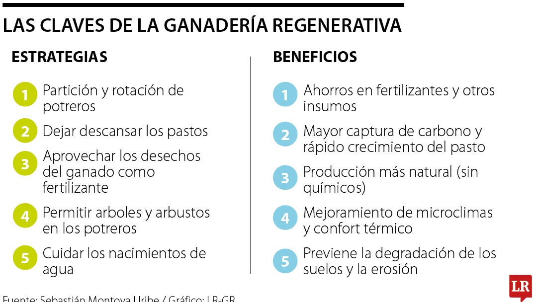 Las claves de la ganadería regenerativa
