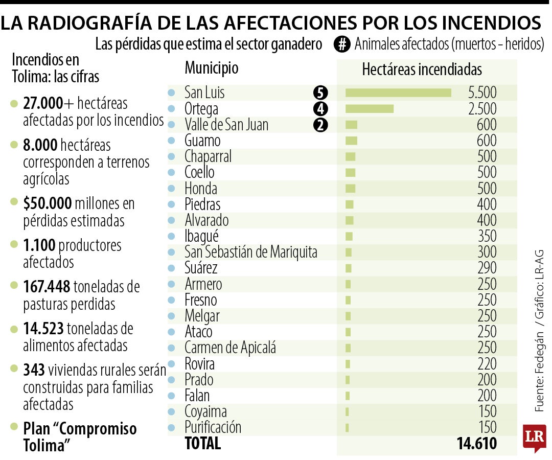 Las cifras de las afectaciones por incendios en Tolima