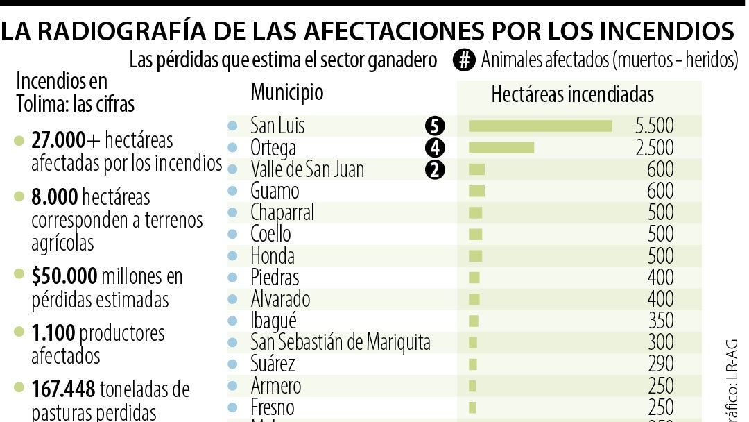Las cifras de las afectaciones por incendios en Tolima