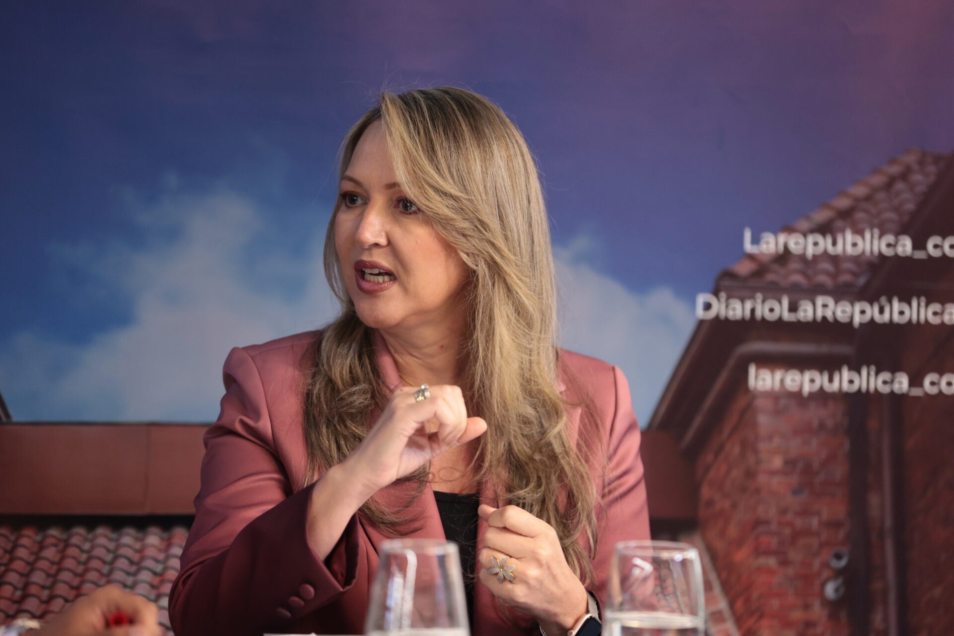 Paula Cortés Calle, presidente ejecutiva de Anato