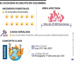 Hasta $37.500 millones de multa por provocar incendios Hasta $37.500 millones de multa por provocar incendios