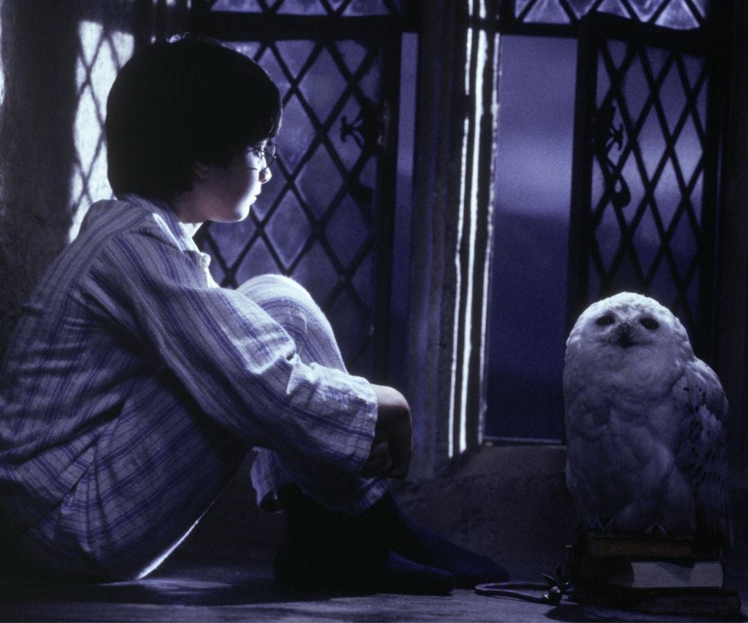 Harry Potter vuelve a los cines con edición especial por sus 25 años de estreno