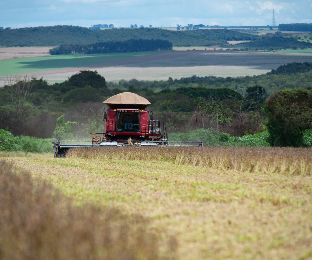 Campos de soya en Brasil