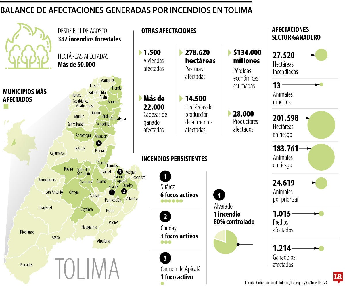 Balance de afectaciones generadas por incendios en Tolima