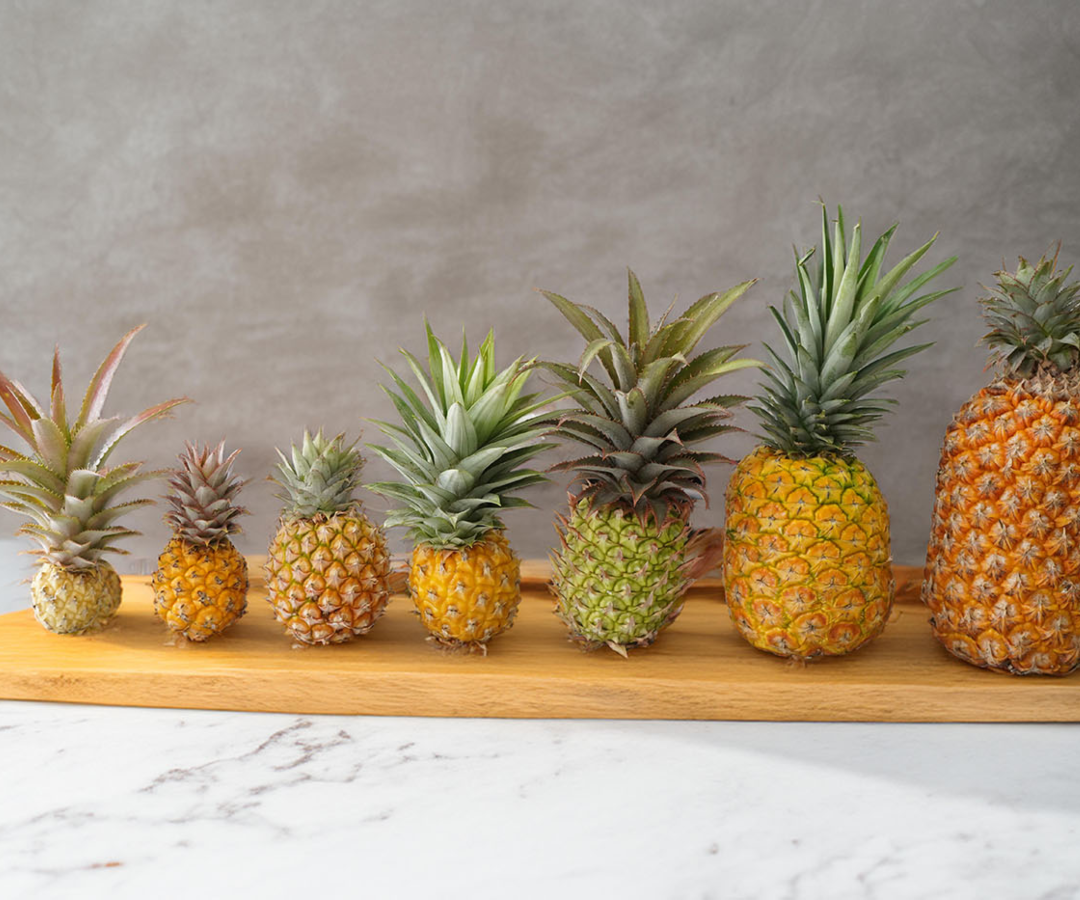 Diferentes variedades de piña