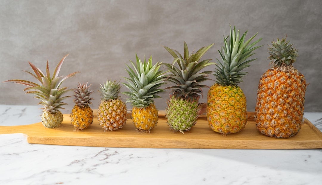 Diferentes variedades de piña