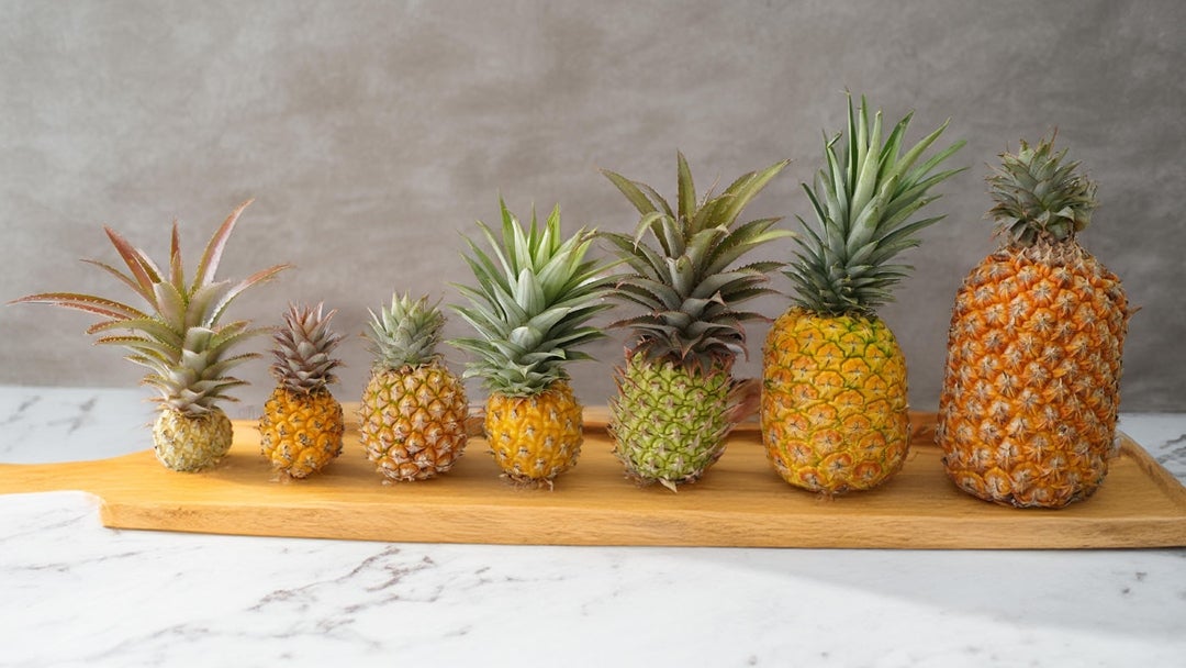 Diferentes variedades de piña