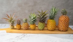 Diferentes variedades de piña Diferentes variedades de piña
