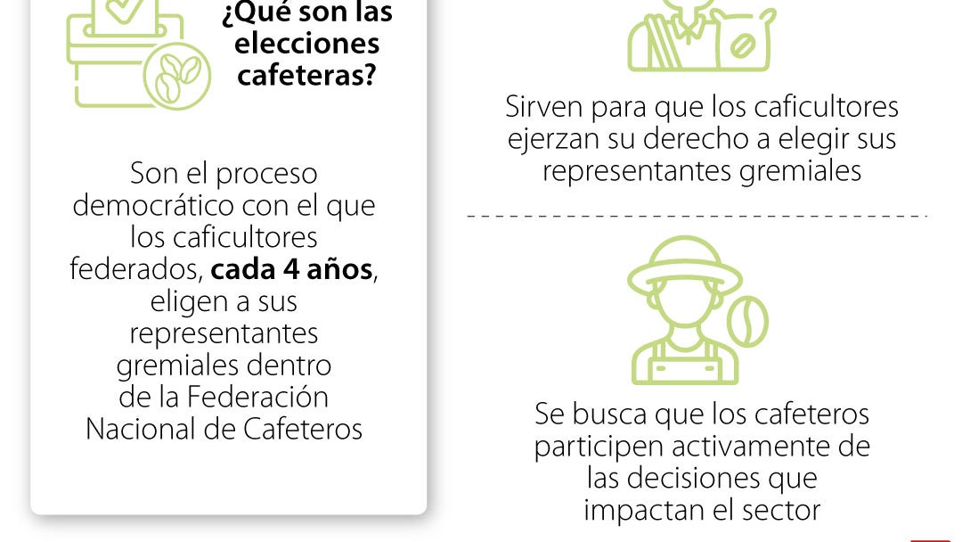 Guía de las elecciones cafeteras 2026