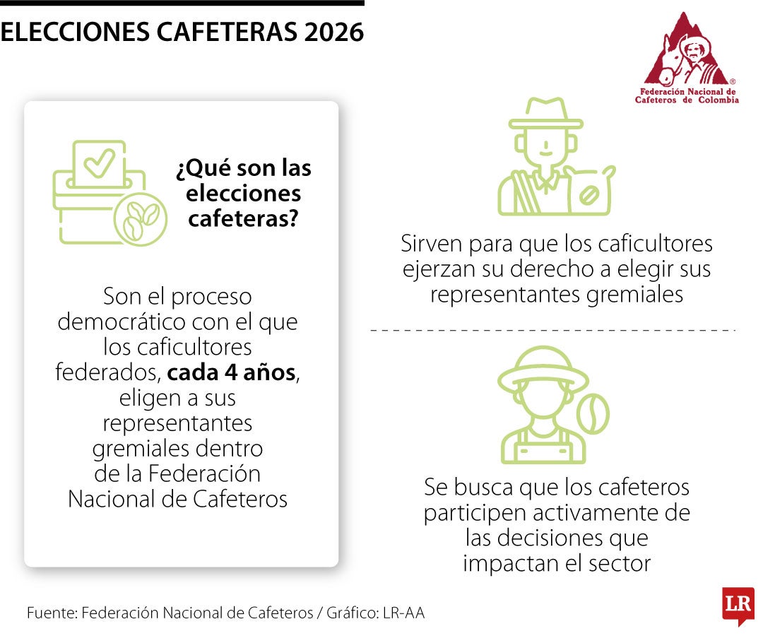 Más de 194.000 votos se registraron en las elecciones cafeteras 2026, un 55% del censo