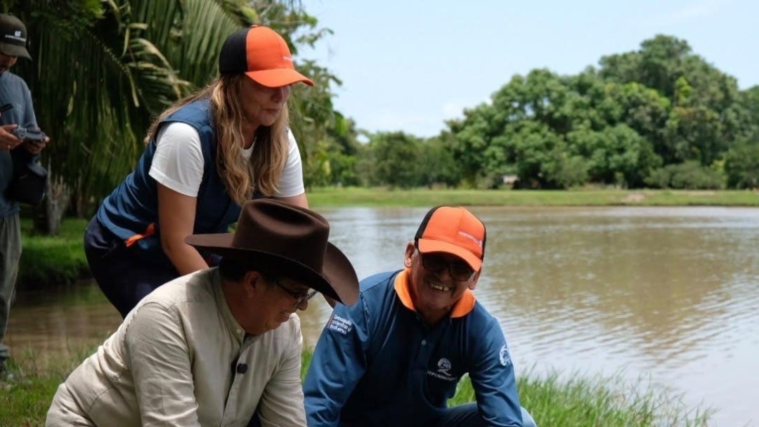 MinAmbiente anuncia liberación de cocodrilos del Orinoco en ríos y humedales