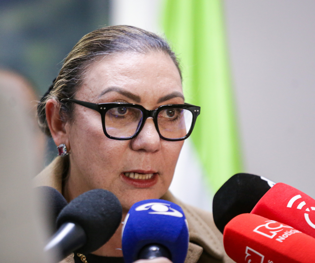 María Carolina Restrepo, directora del icbf