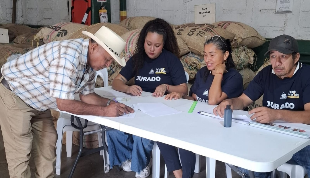 Elecciones cafeteras 2026