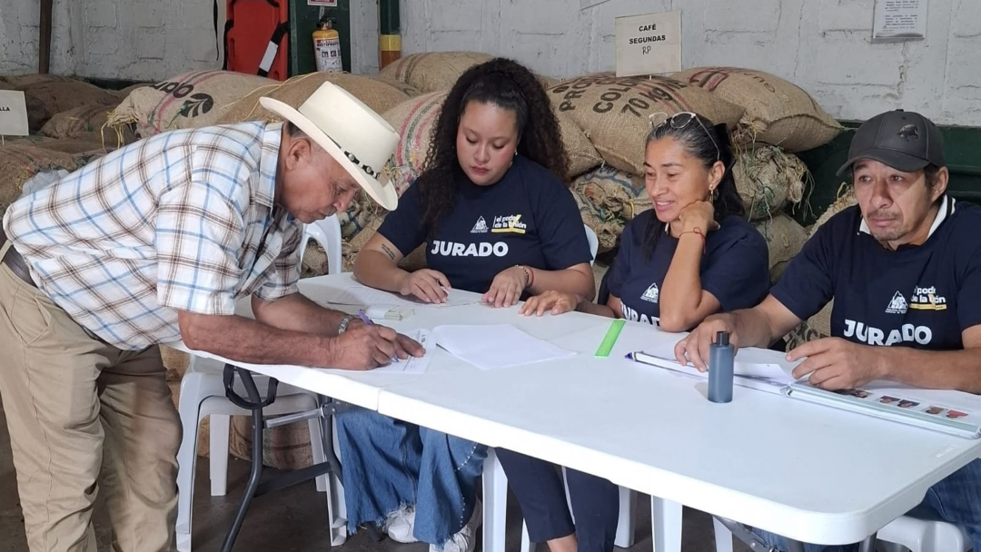 Elecciones cafeteras 2026
