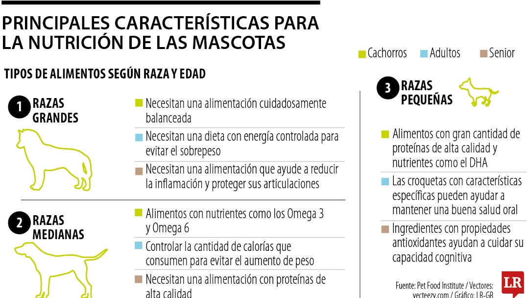 Principales características para la nutrición de su mascota