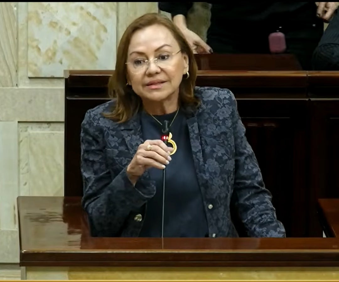 María Nohemí Arboleda, ministra de Minas y Energía