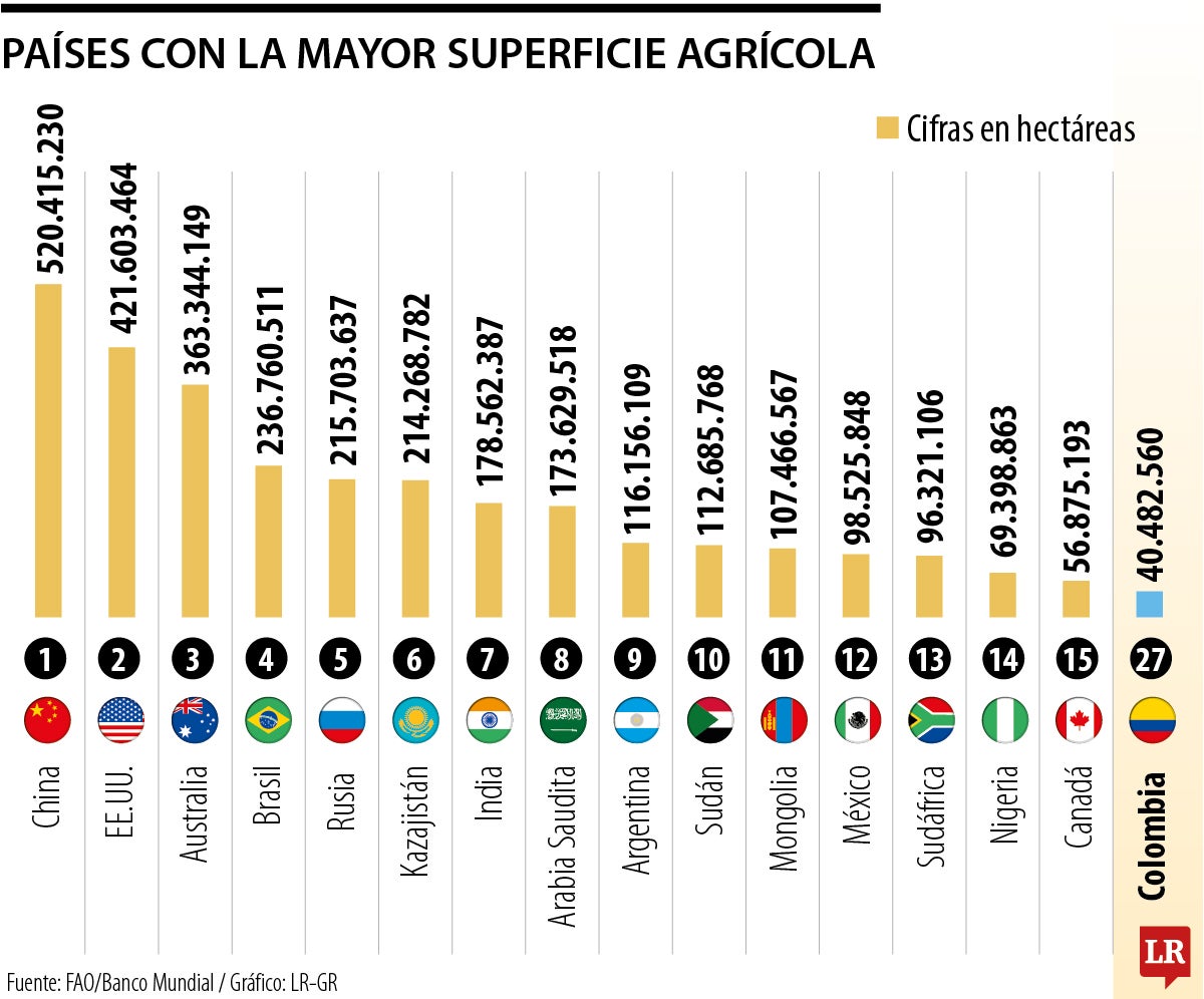 Gráfico LR
