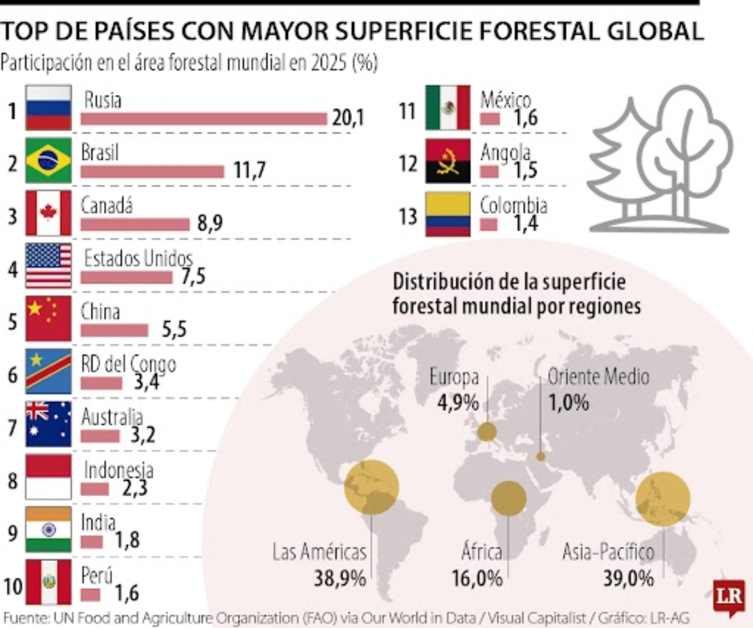Top de países con mayor superficie forestal global