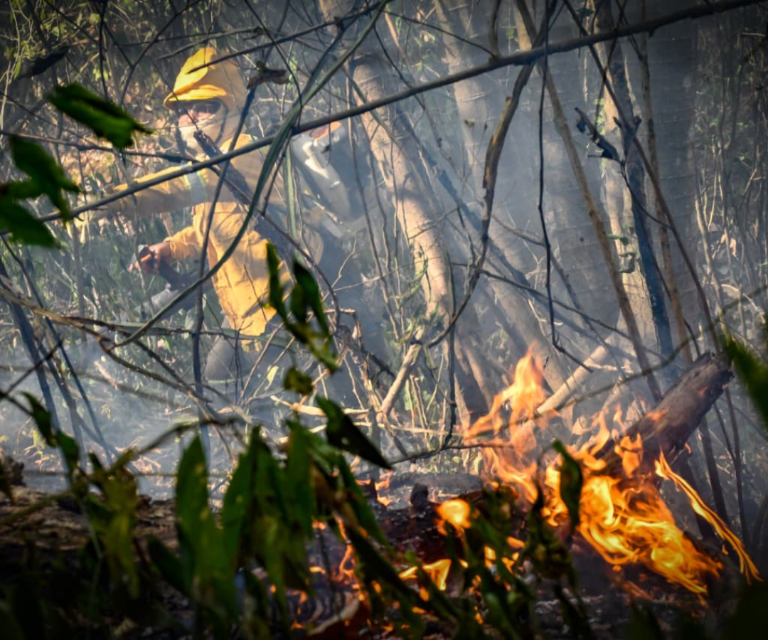 Incendios forestales