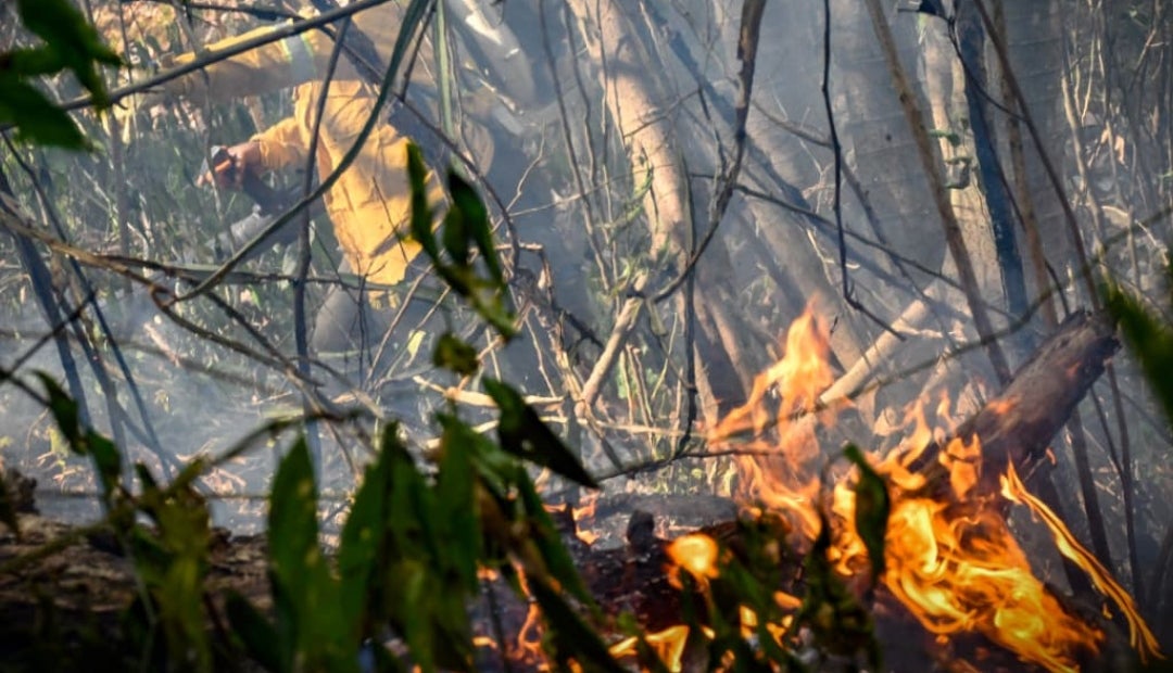 Incendios forestales