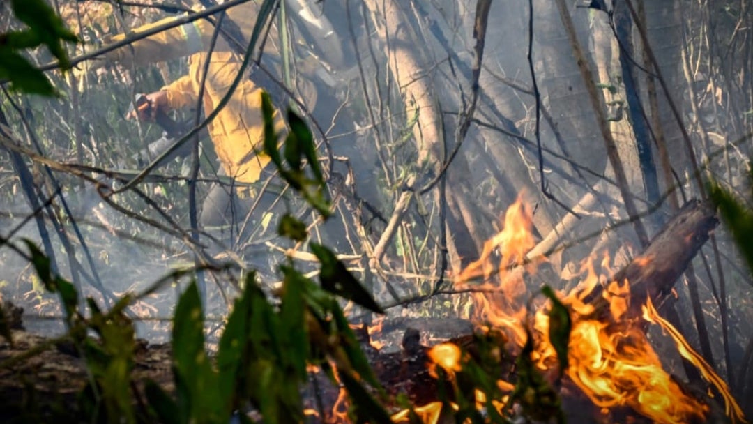Incendios forestales
