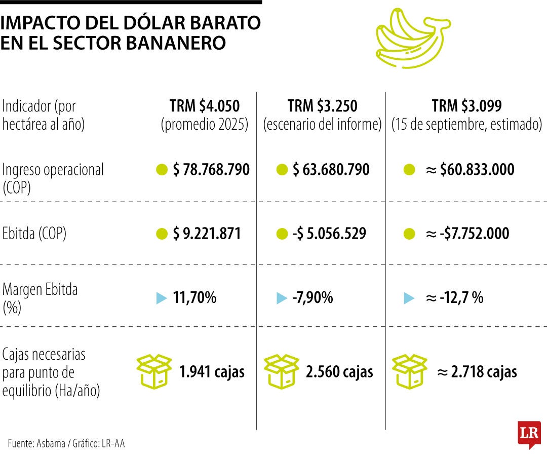 Impacto del dólar barato en el sector bananero