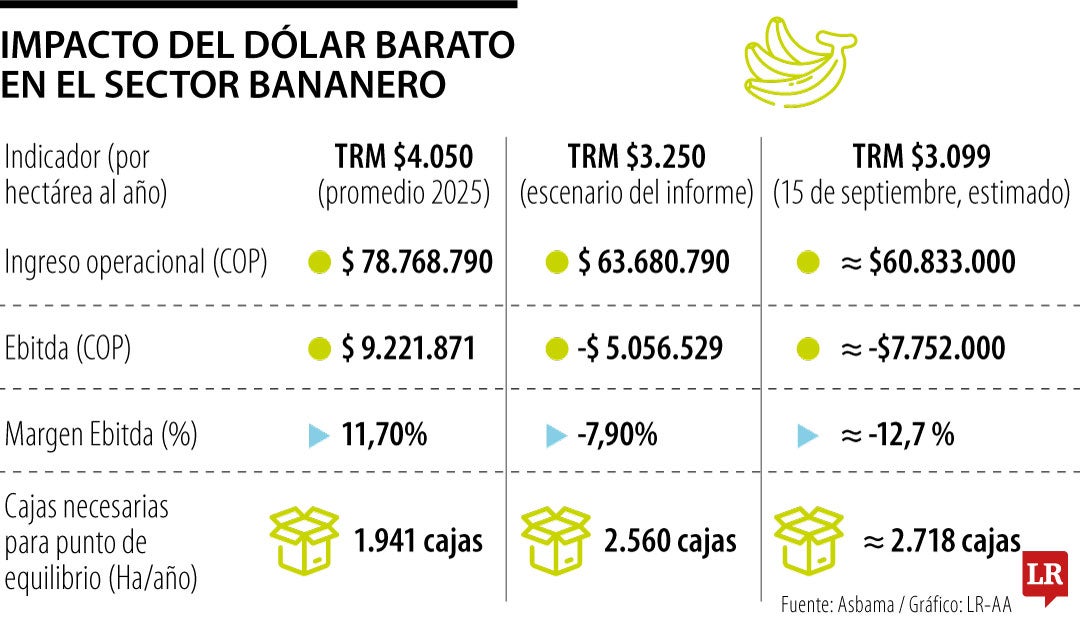 Impacto del dólar barato en el sector bananero