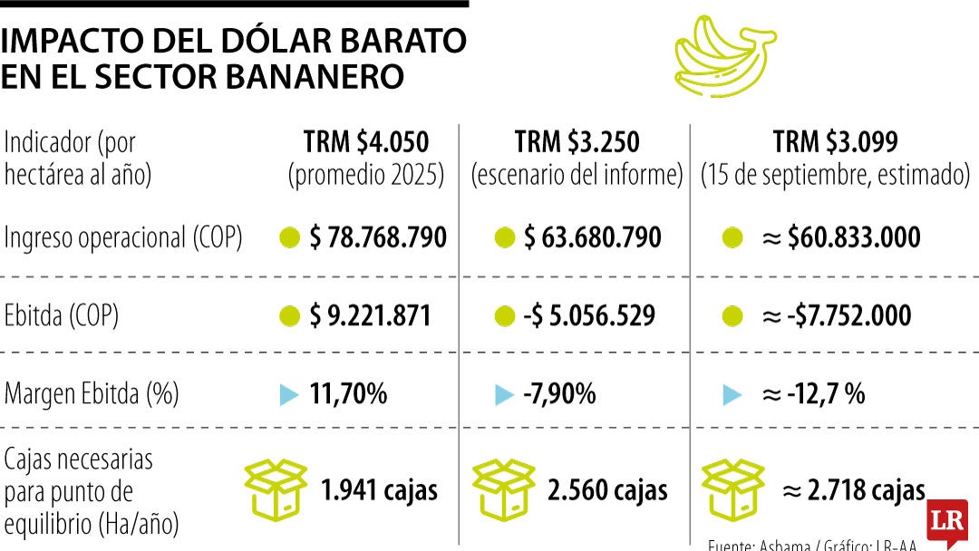 Impacto del dólar barato en el sector bananero