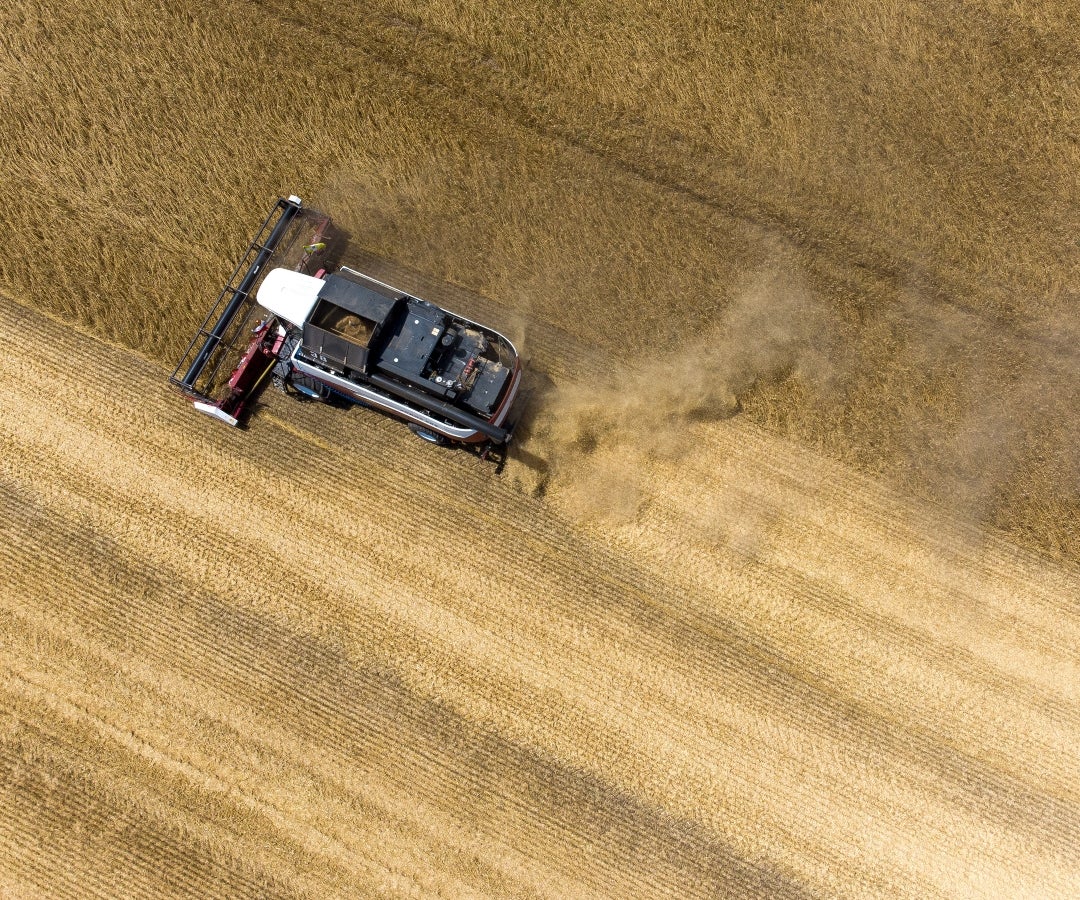 Una cosechadora recorre un campo de trigo durante la cosecha de verano en una granja de la localidad de Tersky, cerca de Stávropol, Rusia.