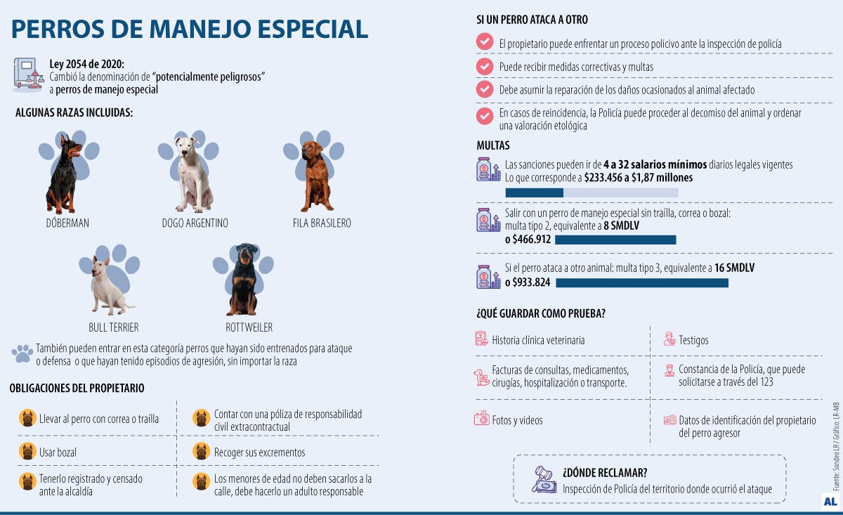 Esto deben pagar los dueños si su perro ataca a otra mascota