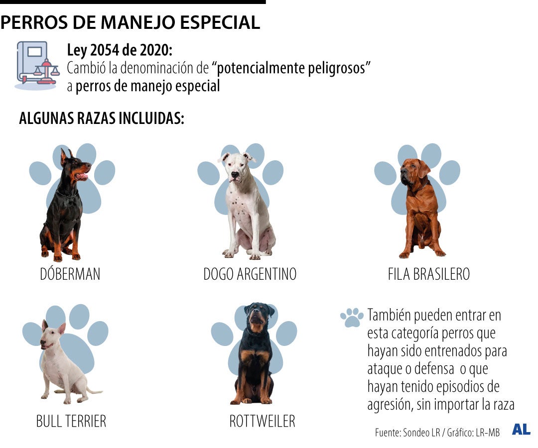 Esto deben pagar los dueños si su perro ataca a otra mascota