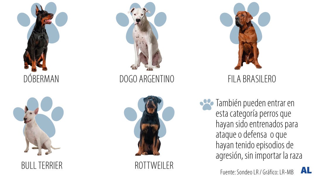 Esto deben pagar los dueños si su perro ataca a otra mascota