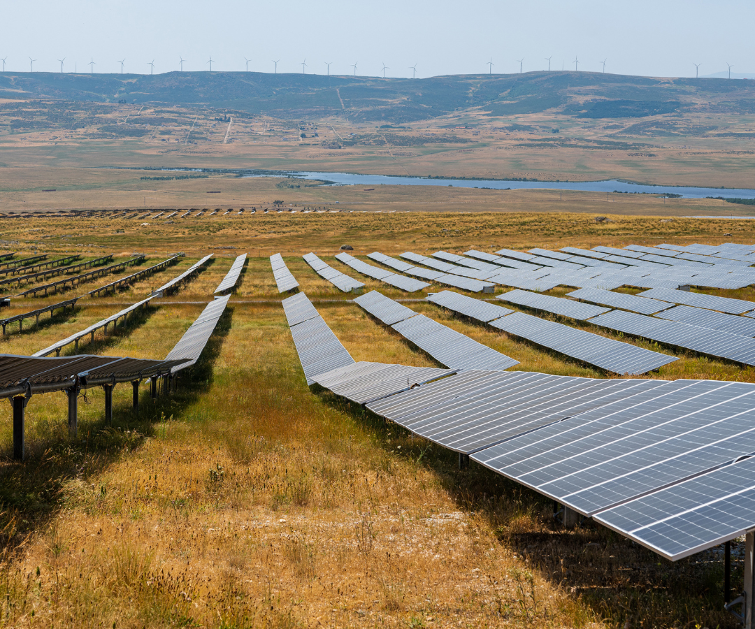 La empresa española de energías renovables Ignis dará a conocer sus planes de salida a bolsa este mes