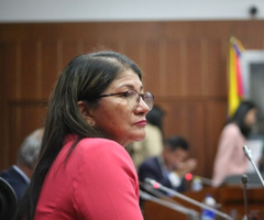 Sandra Ramírez, exintegrante de las Farc