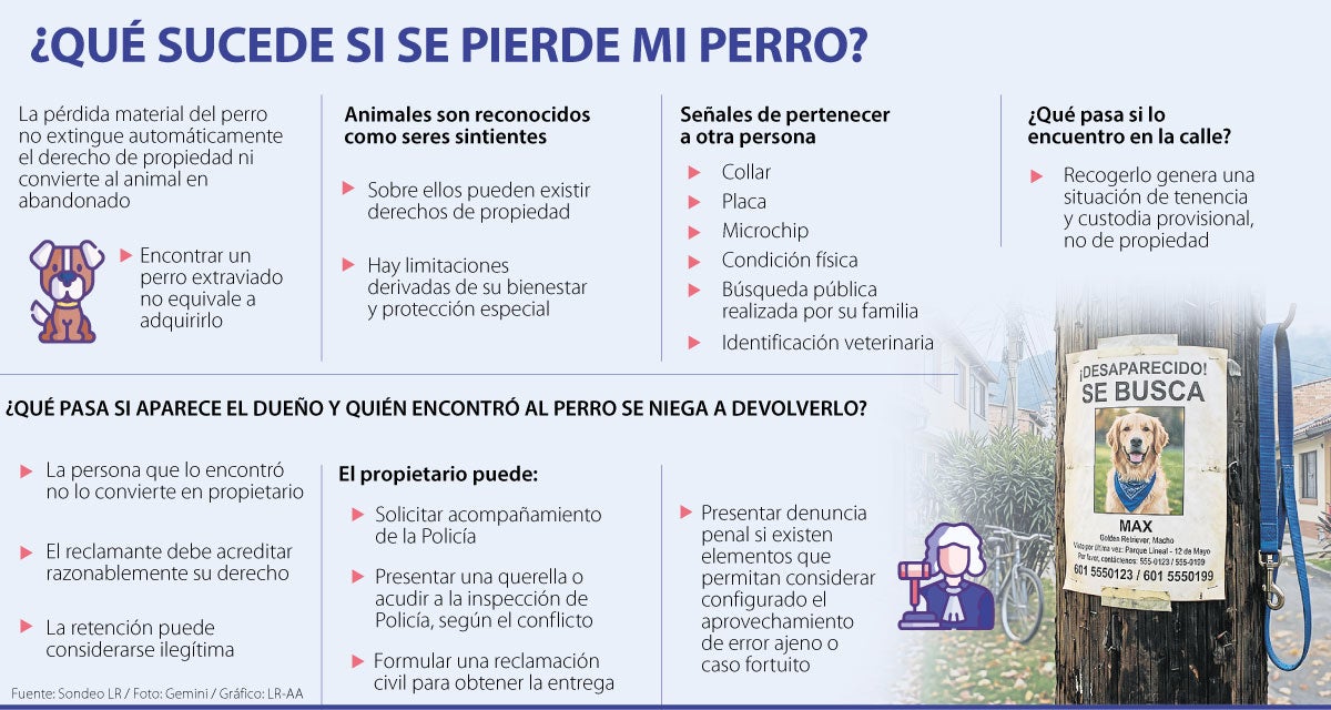 Encontrar un perro extraviado no lo convierte automáticamente en su dueño
