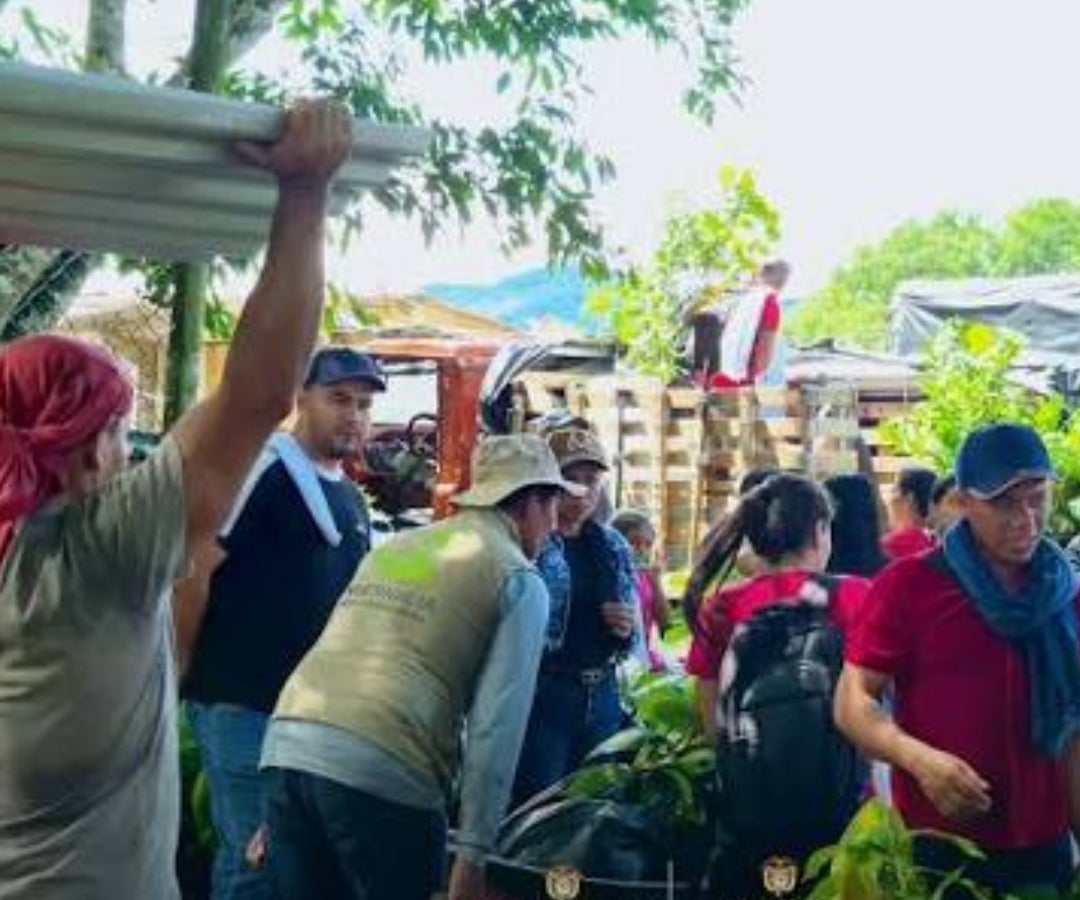Agencia de Renovación del Territorio y de Sustitución de Cultivos Ilícitos