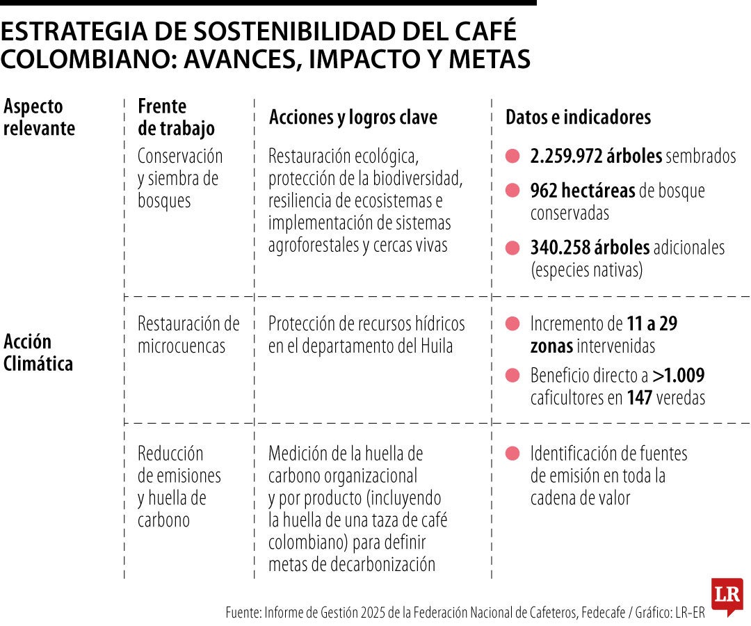 Sector cafetero refuerza sus acciones de sostenibilidad con árboles y bioeconomía