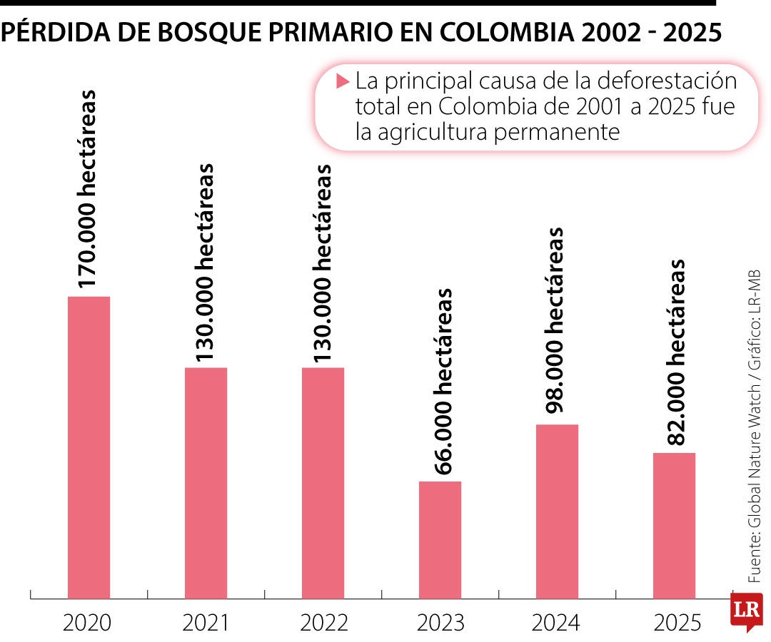 De sembrar árboles a proteger páramos, las apuestas ambientales de las empresas