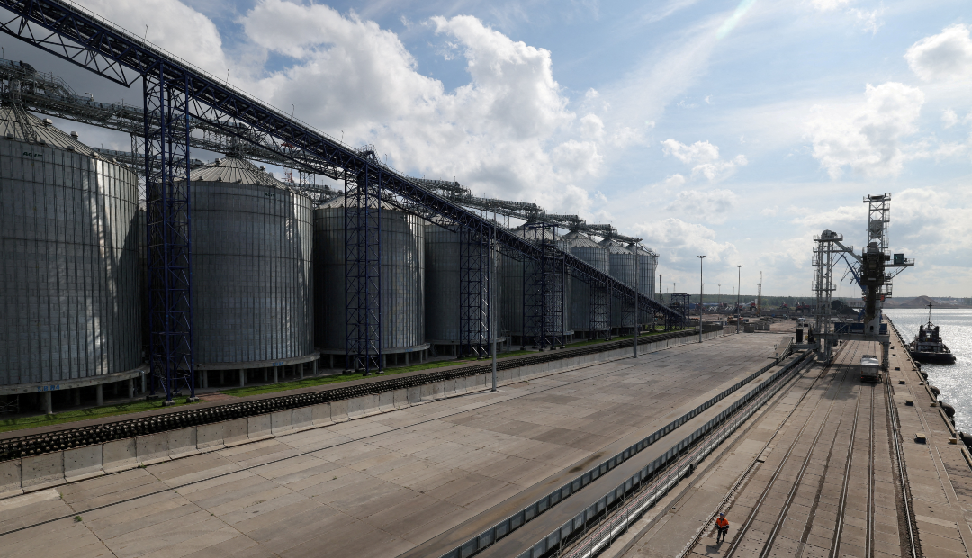 Los compradores de trigo se preparan para mayores costos por la guerra