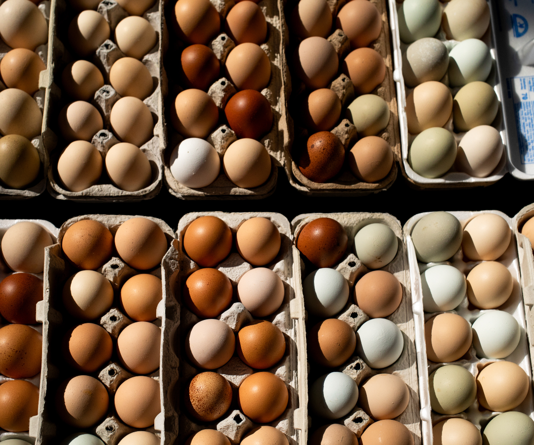 Cubetas de huevos