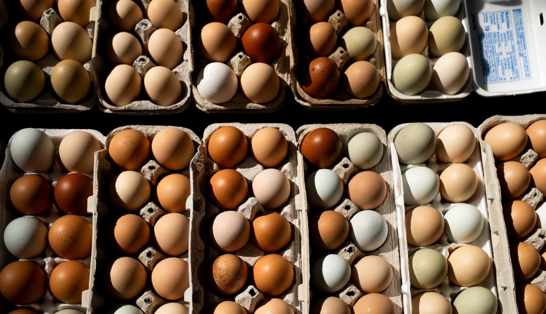 Huevos a la venta en el Eastern Market de Detroit, Michigan (EE. UU.)