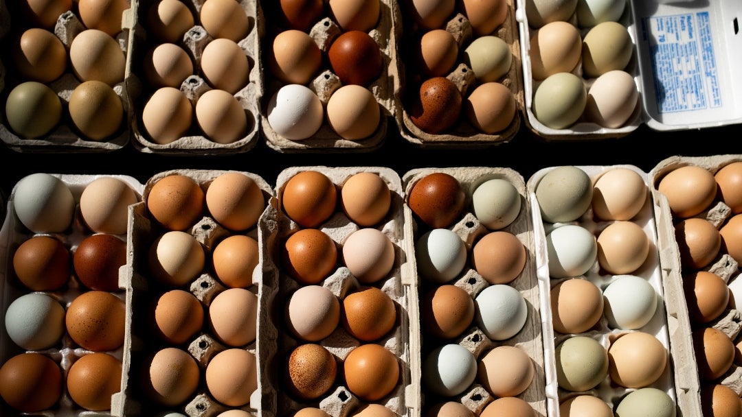 Huevos a la venta en el Eastern Market de Detroit, Michigan (EE. UU.)