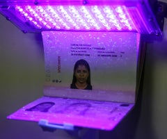 Pasaportes