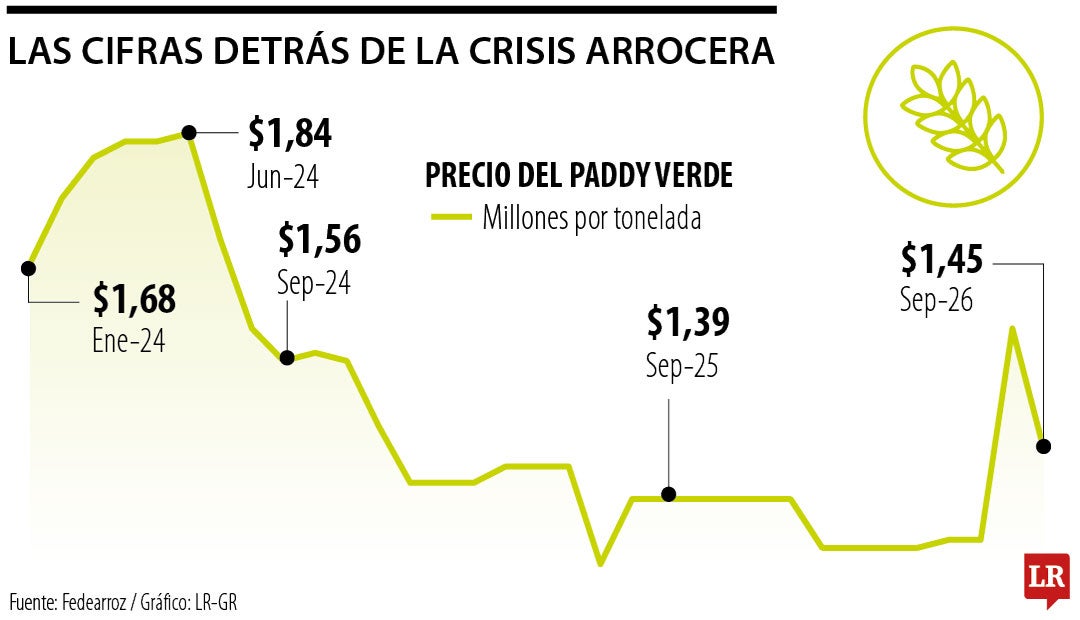 Cifras detrás de la crisis arrocera