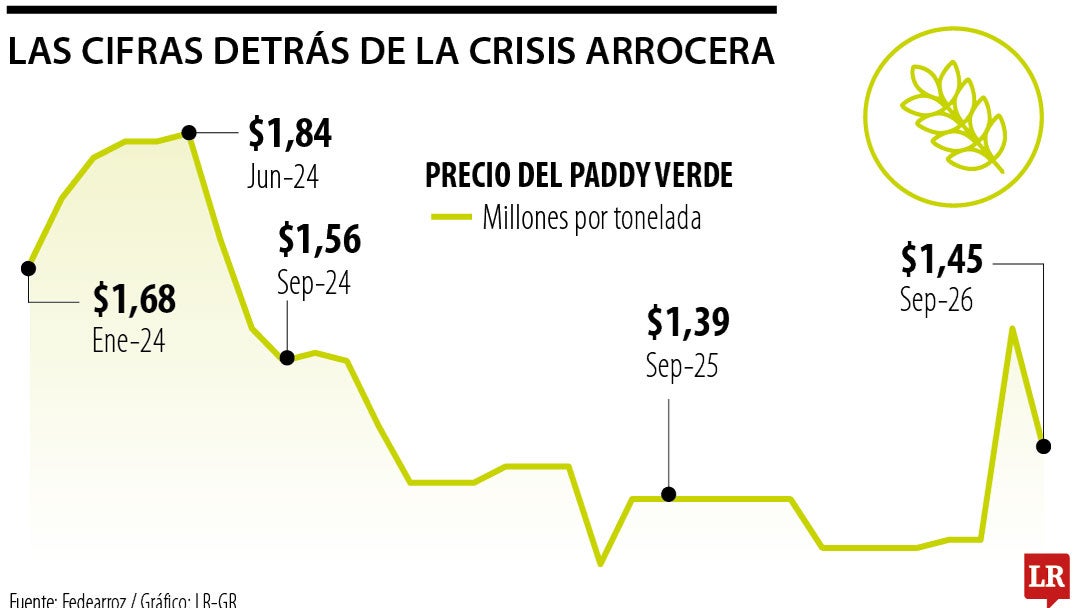 Cifras detrás de la crisis arrocera